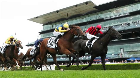 What the jockeys said: 2024 Surround Stakes .
